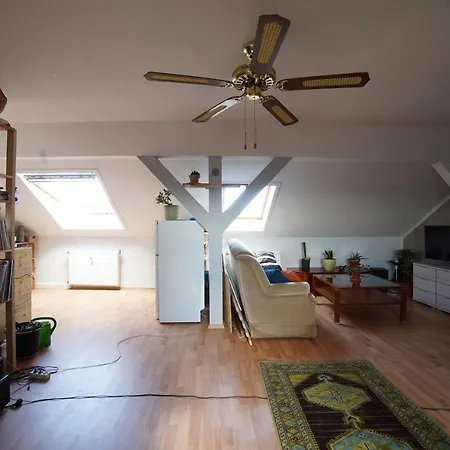 Dachgeschoss Wohnung Lindenau - 1Raum Leipzig