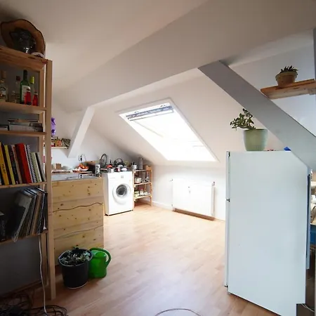 Appartement Dachgeschoss Wohnung Lindenau - 1Raum